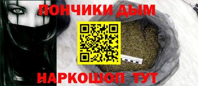 шишки Гай