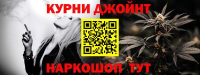 шишки Гай