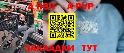шишки Гай