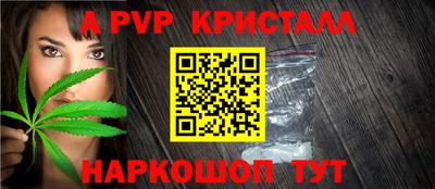 шишки Гай