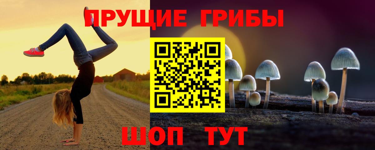 Галлюциногенные грибы Psilocybe  Вход с VPN  Набережные Челны 